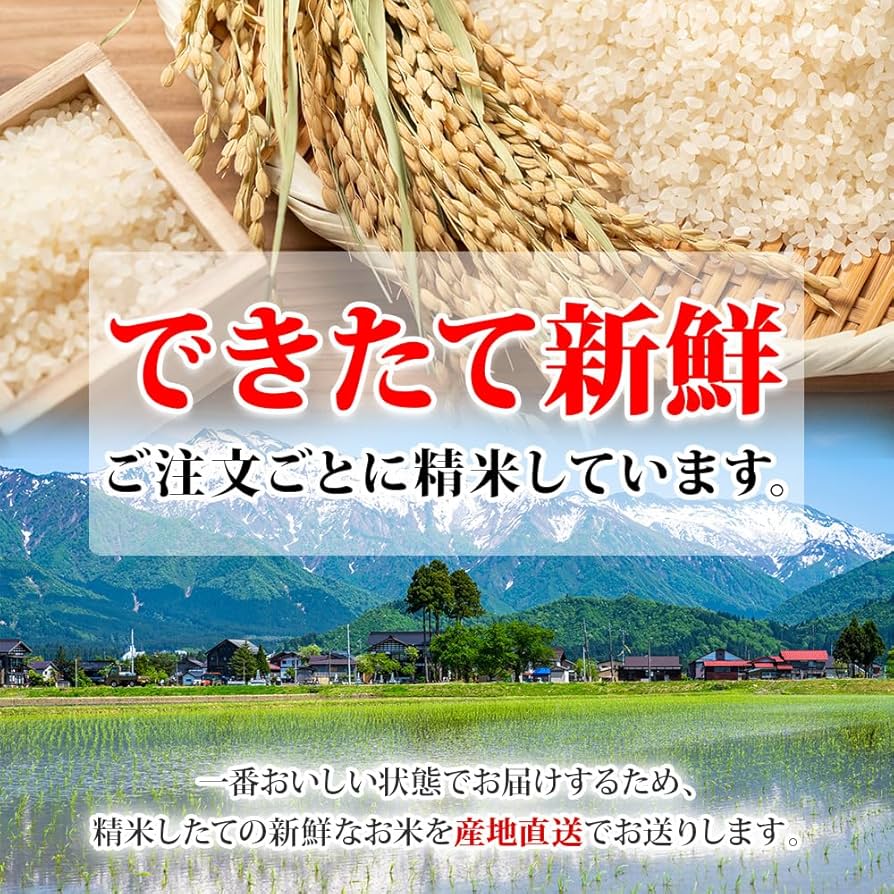 Amazon.co.jp: 令和6年産 魚沼産コシヒカリ 5kg 特A 精米 産地